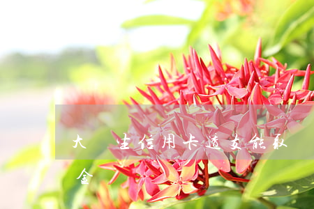 大學生信用卡透支能取現嗎(透支卡可以取現金嗎)