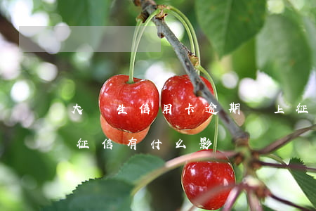 大學生信用卡逾期會上征信嘛(信用卡逾期上征信有什么影響)