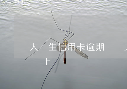 大學生信用卡逾期記錄(大學生信用卡逾期影響上學嗎)