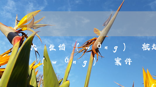 大學生借網(wǎng)貸被起訴-大學生網(wǎng)貸案件