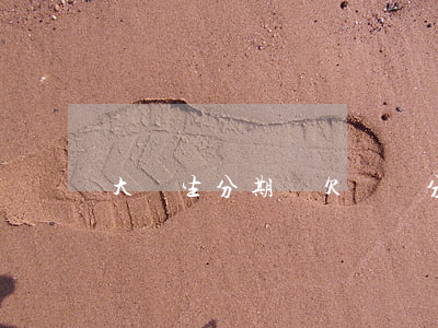 大學生分期樂欠幾萬(分期樂大學生能貸多少)