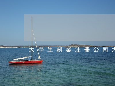 大學生創業注冊公司(大學生創業注冊公司)
