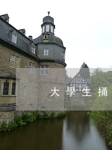 大學生捅死媽媽怎么判