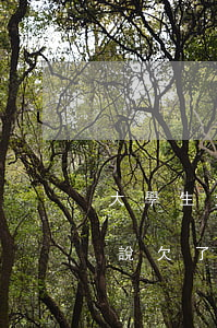 大學生欠4萬網(wǎng)貸怎么跟家里說(欠了四萬網(wǎng)貸怎么給父母說)