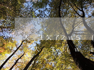 大學生欠了2w5網(wǎng)貸無力償還(大學生網(wǎng)貸欠了兩萬怎么辦)