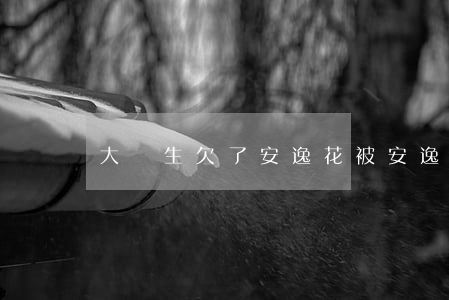 大學生欠了安逸花(被安逸花還慘了)