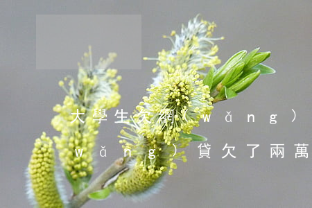 大學生欠網(wǎng)貸兩萬(大學生網(wǎng)貸欠了兩萬怎么辦)
