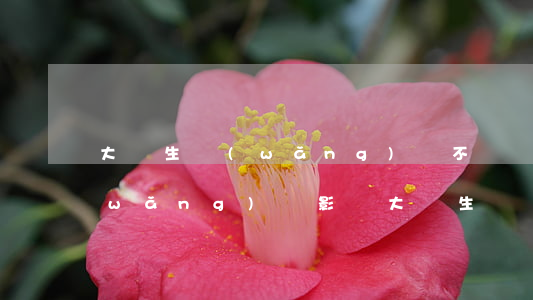 大學生網(wǎng)貸不還會怎么樣(網(wǎng)貸影響大學生畢業(yè)嗎)