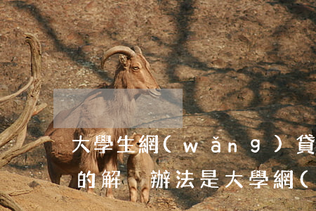 大學生網(wǎng)貸還不起怎么辦最好的解決辦法是（大學網(wǎng)貸還不起）