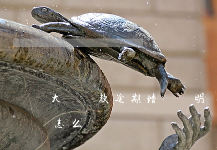 大學貸款逾期情況說明書(貸款逾期情況說明怎么寫)