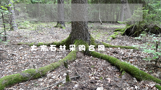 大宗石材采购合同