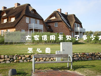 大家信用卡欠了多少 大家信用卡欠了多少錢怎么查
