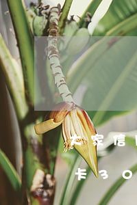 大家信用卡逾期了多少錢(qián)(信用卡30000逾期一天多少錢(qián))
