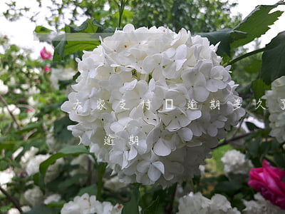 大家支付寶逾期多久了（支付寶繳費(fèi)逾期）