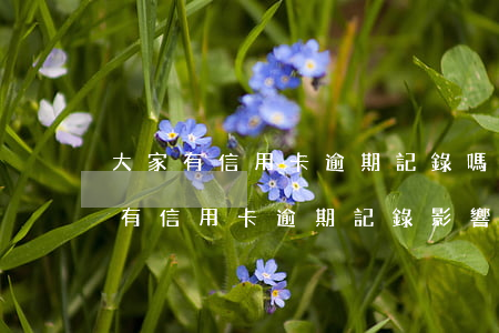 大家有信用卡逾期記錄嗎(曾經(jīng)有信用卡逾期記錄影響)