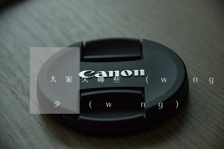 大家欠哪些網(wǎng)貸(大家都欠了多少網(wǎng)貸)