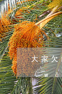 大家欠的網(wǎng)貸都還了嗎(欠的網(wǎng)貸還用還嗎)