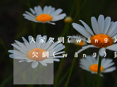 大家欠網(wǎng)貸多少(到底有多少人欠網(wǎng)貸)
