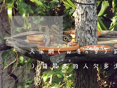 大家網(wǎng)貸欠多少(網(wǎng)貸最多的人欠多少錢)
