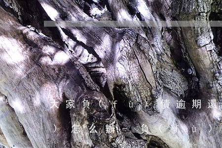 大家負(fù)債逾期還不上了會(huì)怎么辦-負(fù)債還不上要逾期了
