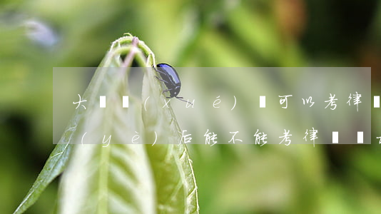大專學(xué)歷可以考律師嗎(大專畢業(yè)后能不能考律師資格證)