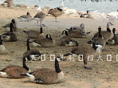 大專幾年制(單招大專幾年制)