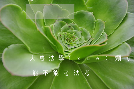 大專法學(xué)類可以考司法考嗎(大專能不能考法考)