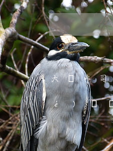大專非司法類可以考律師證嗎(非法學(xué)專業(yè)本科可以考律師資格證嗎)