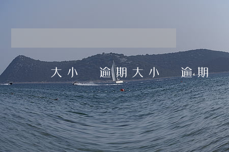 大小貸逾期 大小貸逾期