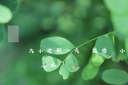 大小逾期一天還能借嗎(小借款平臺逾期一天會怎么樣)