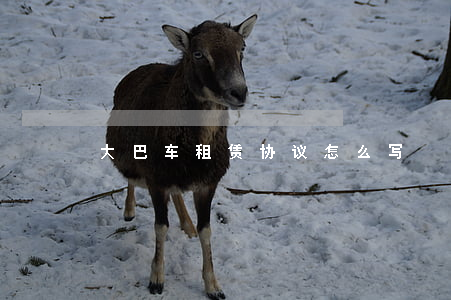 大巴车租赁协议怎么写