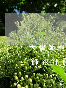 大律師事務(wù)所的律師更厲害嗎(大律師跟律師的區(qū)別)