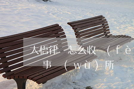 大悟律師怎么收費(fèi)(大悟最好的律師事務(wù)所)