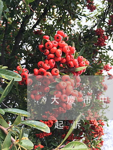 大慶市中級人民法院接受網(wǎng)貸起訴-大慶市中級人民法院接受網(wǎng)貸起訴案件