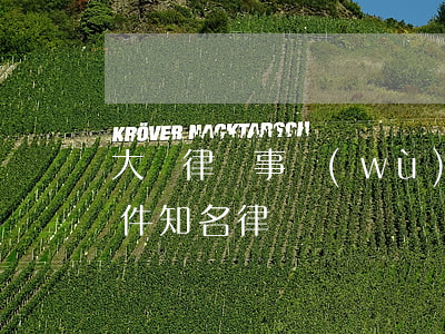 大慶律師事務(wù)所排名榜(大慶刑事案件知名律師)