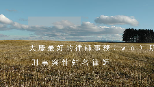 大慶最好的律師事務(wù)所是哪家(大慶刑事案件知名律師)