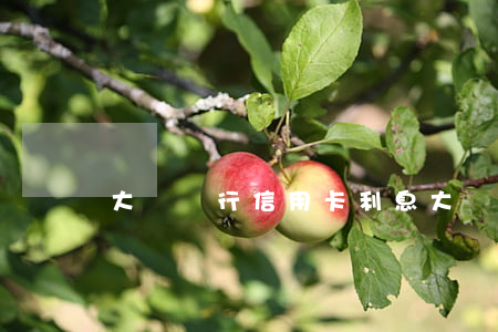 大慶銀行信用卡利息(大慶銀行信用卡利息)