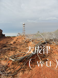 大成律師事務(wù)所排名(大成律師事務(wù)所)
