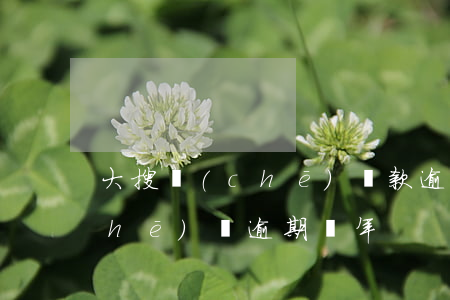 大搜車(chē)貸款逾期不還后果(車(chē)貸逾期兩年)