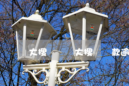 大搜車車貸（大搜車貸款逾期）