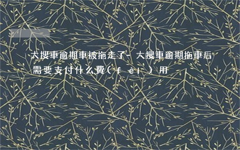 大搜車逾期車被拖走了-大搜車逾期拖車后需要支付什么費(fèi)用
