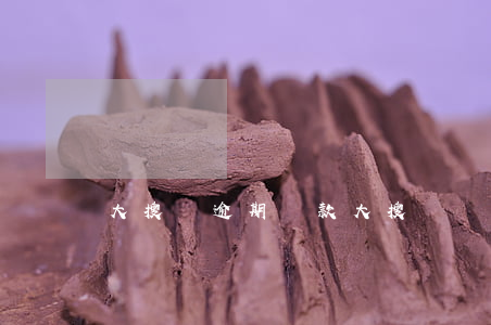 大搜車逾期還款(大搜車還款問題怎么解決)