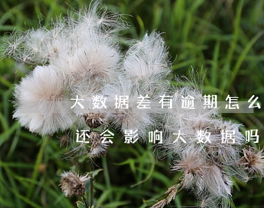 大数据差有逾期怎么网贷(网贷有逾期还清了还会影响大数据吗)