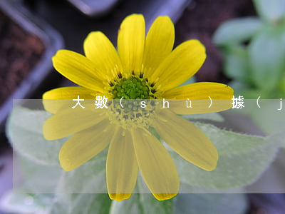 大數(shù)據(jù)是指什么