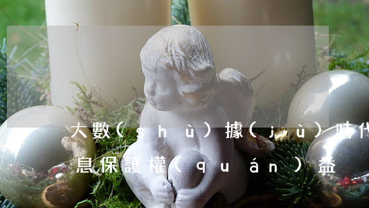 大數(shù)據(jù)時代下的個人信息保護權(quán)益