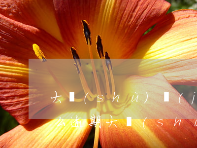 大數(shù)據(jù)有逾期影響房貸么(逾期大數(shù)據(jù)什么時候會干凈)