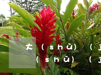 大數(shù)據(jù)查逾期-逾期大數(shù)據(jù)什么時候會干凈