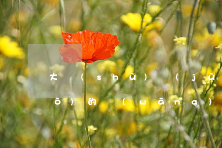 大數(shù)據(jù)花了必過(guò)的網(wǎng)貸-大數(shù)據(jù)花了必過(guò)的網(wǎng)貸平臺(tái)