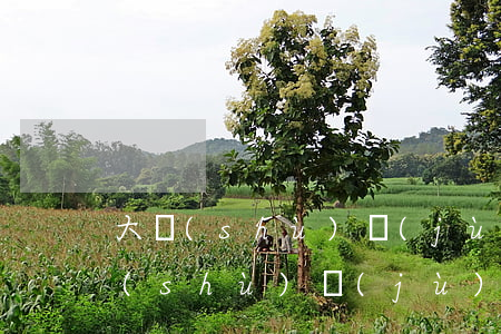大數(shù)據(jù)花有逾期-大數(shù)據(jù)花有逾期能借到錢(qián)嗎