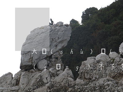 大數(shù)據(jù)逾期信用卡申請(qǐng)不下怎么辦-大數(shù)據(jù)逾期信用卡申請(qǐng)不下怎么辦呢